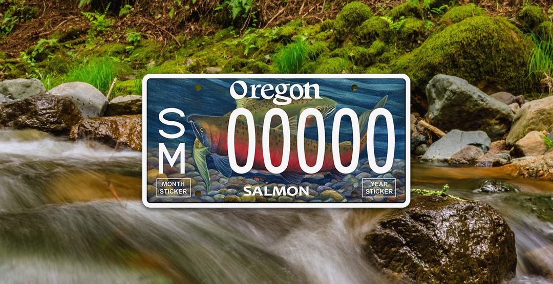 Oregon Dmv License Plates Cost